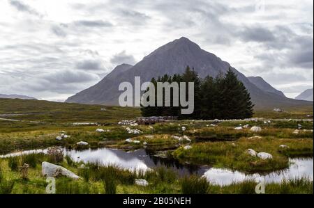 Il Bauchaille, è una grande montagna alla testa di Glen Etive nelle Highlands scozzesi, Visto qui in un pomeriggio nuvoloso che riflette pacificamente in un s. Foto Stock