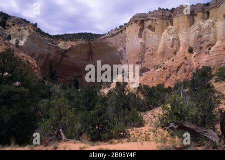 USA, NUOVO MESSICO, VICINO ABIQUIU, ECHO CANYON Foto Stock