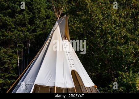 Un primo piano di un alto tipi bianco, o teepee, tenda nativa in una radura di foresta durante un festival della terra che celebra la cultura e la natura tradizionali Foto Stock