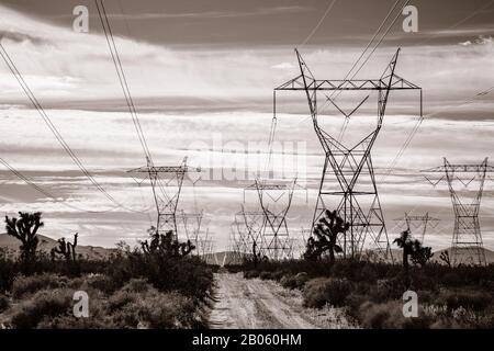 Dessert Power Linee lungo strada sterrata in mezzo a Nowhere Foto Stock