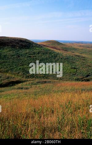 USA, KANSAS, MANHATTAN, KONZA PRAIRIE RICERCA AREA NATURALE, PAESAGGIO Foto Stock