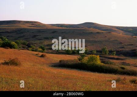 USA, KANSAS, MANHATTAN, KONZA PRAIRIE RICERCA AREA NATURALE, PAESAGGIO Foto Stock