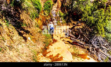 Escursione femminile che abbraccia il Rock Wall lungo il Canyon Overlook Trail a Zion National Park, Utah, Stati Uniti Foto Stock