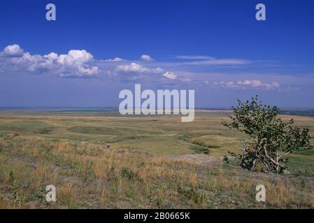 CANADA, ALBERTA, VICINO A FORT MACLEOD, TESTA-SMASED-IN BUFFALO SALTO, UNESCO, PRAIRIE Foto Stock