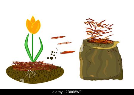 Concetto di giardinaggio di pacciame con tulipano, pacciame e sacchetto isolato su sfondo bianco. Agricoltura campagna all'aperto stagionale Work.Mulching di Plants.Vector Illustrazione Vettoriale