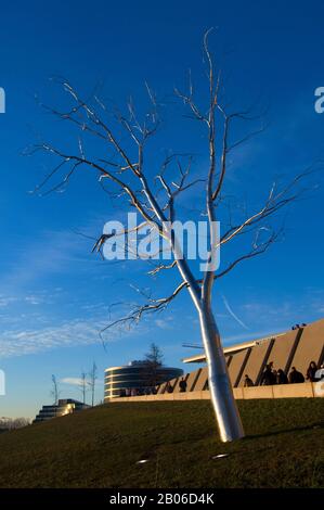 USA, WASHINGTON STATE, SEATTLE, OLYMPIC SCULPTURE PARK, DIVISO DA ROXY PAINE, ALBERO IN ACCIAIO INOSSIDABILE Foto Stock