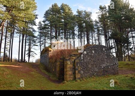 19th Secolo casa di ghiaccio in Tentsmuir Forest, Fife Scozia, Regno Unito. Lungo il percorso del percorso costiero di Fife. Ora colonizzato da pipistrelli. Foto Stock