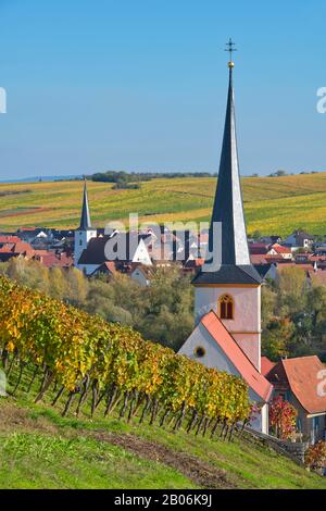 Escherndorf Vicino Volkach, Chiesa Di San Giovanni Battista, Dietro Nordheim, Bassa Franconia, Franconia Principale, Baviera, Germania Foto Stock