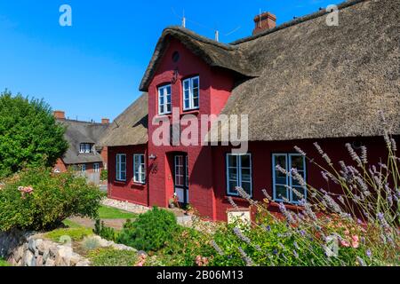 Casa di paglia in nebbia sull'isola di Amrum, Mare del Nord, Isola Frisone del Nord, Schleswig-Holstein, Germania Foto Stock