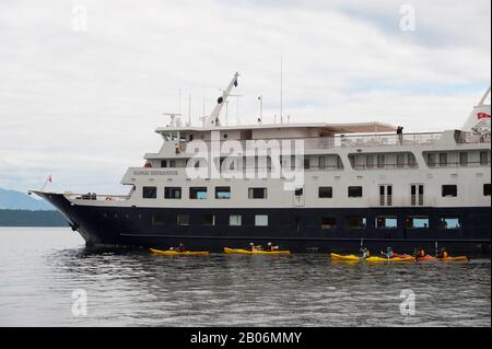 Passeggeri dalla nave da crociera Safari Endeavour kayak di mare a Pavlof Harbor nello stretto di Chatham, isola Chichagof, Foresta Nazionale di Tongass, Alaska, Stati Uniti Foto Stock