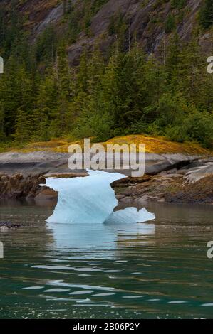 Piccolo iceberg presso i guadi del terrore, Braccio Endicott, Tongass National Forest, Alaska, STATI UNITI D'AMERICA Foto Stock