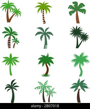 Colori palme sagome vettoriali. Insieme di piante tropicali verdi illustrazione Illustrazione Vettoriale