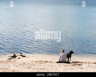 Vista posteriore di giovane donna con cane seduto sulla spiaggia che si affaccia sul lago, Paesi Bassi Foto Stock