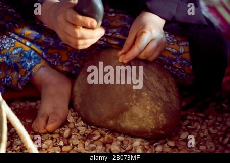 Donne marocchine che lavorano con semi di argan per estrarre l'olio di argan. Essaouira, Marocco. Foto Stock