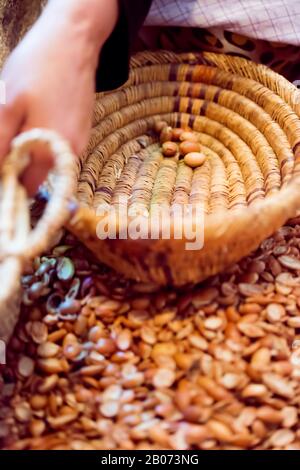 Donne marocchine che lavorano con semi di argan per estrarre l'olio di argan. Essaouira, Marocco. Foto Stock