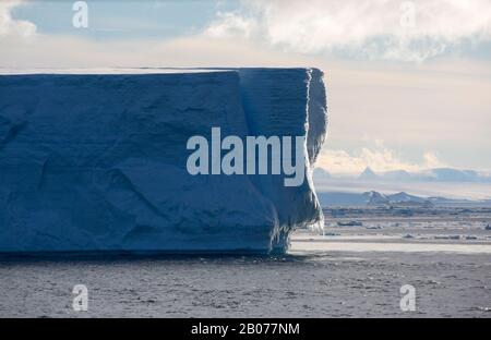 Icebvergs della punta settentrionale della penisola antartica vicino all'isola di Gourdin. Foto Stock