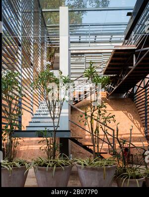 Piante di POT sul patio vicino alla scala Foto Stock