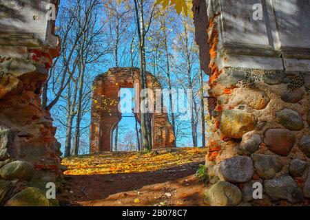 Rovine nella foresta circondata da alberi. Antiche rovine del castello abbandonato nella foresta. Foto Stock