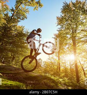 Professionista sportivo ciclista bilanciamento sul retro ruota su bicicletta di prova, maschio biker rendendo acrobatica trick sul bordo di grande masso nella foresta in estate soleggiata sera Foto Stock