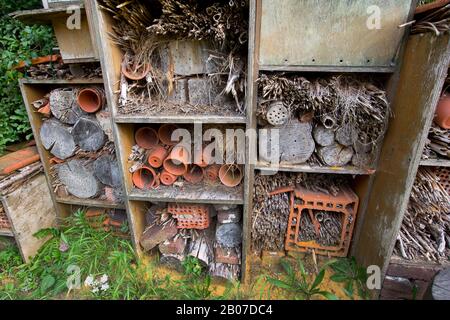 Educazione alla natura, centro visitatori, Belgio, Fiandre Orientali, Bourgoyen Foto Stock