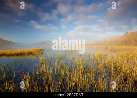 Mattina Haze A Oppdal, Norvegia, Trondelag, Oppdal, Ottavalen Foto Stock