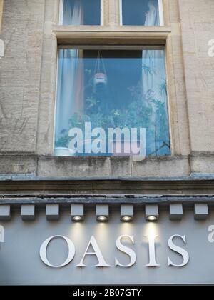 Shop segno Reading Oasis sotto una vedova piena di piante nella città di Bath, Somerset, Regno Unito Foto Stock