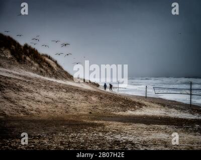 Henne spiaggia in Jutland con panchine in un giorno tempestoso, Danimarca Foto Stock