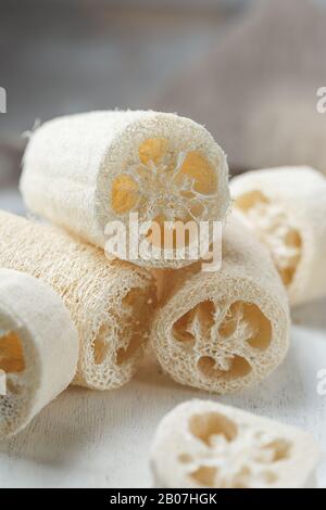 Spugna Luffa per lavaggio o bagno di stoviglie senza residui Foto Stock