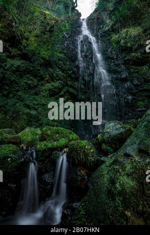 Lunga esposizione di una cascata in una foresta verde Foto Stock