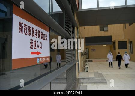 Nanchang, Cina. 19th Feb 2020. Dong, un paziente di coronavirus recuperato, cammina con gli operatori medici dopo aver donato il plasma in un ospedale a Nanchang, nella provincia di Jiangxi nella Cina orientale, 19 febbraio 2020. Dong, 42 anni, è il primo paziente recuperato che ha donato il suo plasma dopo il recupero dal coronavirus nella provincia di Jiangxi. (Xinhua/Peng Zhaozhi) Credito: Xinhua/Alamy Live News Foto Stock