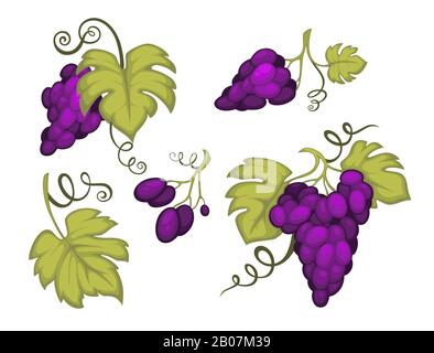 Grappoli di uva con foglie icone isolate, grappoli di bacche Illustrazione Vettoriale
