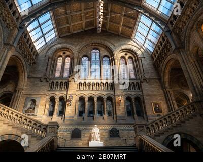 Londra, Regno Unito. Circa Dicembre 2019. Statua di Charles Darwin, padre della teoria dell'evoluzione delle specie, situato nel Natural Histor Foto Stock
