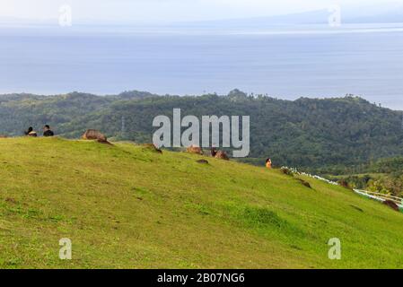 Vista Del Lintaon Peak & Cave/16k Blossoms A Baybay City, Leyte, Filippine Foto Stock