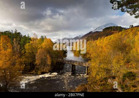 Autunno A Glen Affric, Highland Scotland Foto Stock