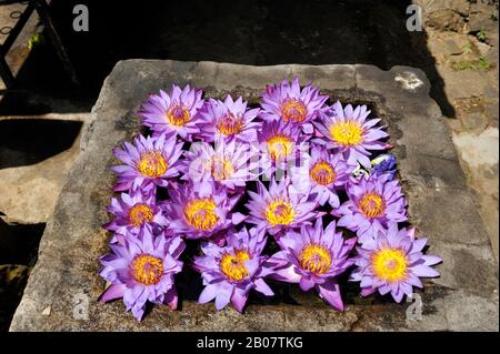 Sri Lanka, Kandy, tempio di Vishnu devale, Ddimunda Devalaya, fiori come offerte Foto Stock