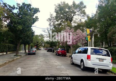 New Orleans, Louisiana, Stati Uniti - 4 Febbraio. 2020 - la vista della strada decorata da alberi di magnolia rosa vicino al Garden District Foto Stock