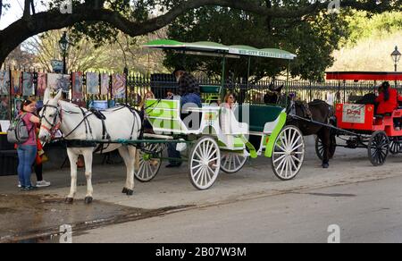 New Orleans, Louisiana, Stati Uniti - 7 febbraio 2020 - carrozza a Cavallo in attesa di passeggeri su Decatur Street Foto Stock