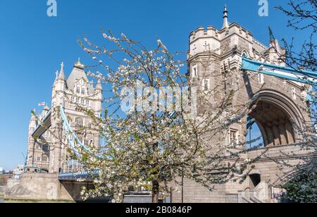 Famosa attrazione turistica di Londra, storica architettura Tower Bridge in primavera, Inghilterra - Regno Unito Foto Stock