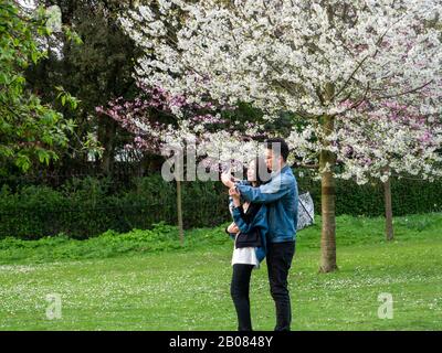 Londra, Inghilterra, Regno Unito - 20 maggio 2019: Coppia di giovani che scattano foto selfi all'aperto di fronte ai fiori di ciliegio bianco nella stagione primaverile in Olanda Foto Stock