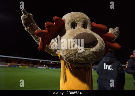 Marvin il Moose. Cambridge United Mascot. Abbey Stadium. Cambdrige Foto Stock