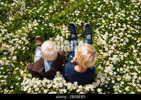 Due Blonde Boys Seduti In Daisy Flower Meadow Foto Stock