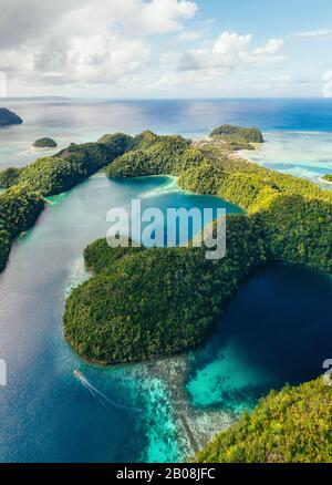 Laguna di Sugba in Siargao, filippine. Foto aerea scattata con il drone sulla baia della foresta di mangrovie Foto Stock