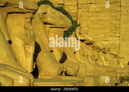 EGITTO, LUXOR, VISTA DELLE STATUE RAM ALL'INGRESSO DEL TEMPIO DI KARNAK Foto Stock