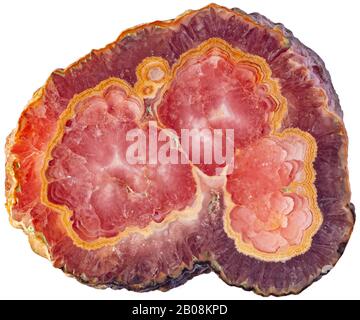 Rhodocrosite, Provincia di Catamarca, Argentina Rhodocrosite è un minerale di carbonato di manganese che varia di colore dal rosa chiaro al rosso brillante. Foto Stock