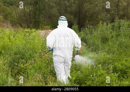 Uomo che spruzza insetti all'aperto. Controllo di peste. Foto Stock