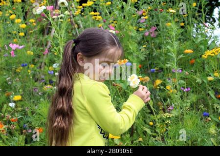 Ragazza fiori profumati Foto Stock