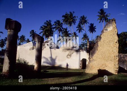 TANZANIA, ISOLA DI ZANZIBAR, ROVINE DEL PALAZZO MARUHUBI Foto Stock
