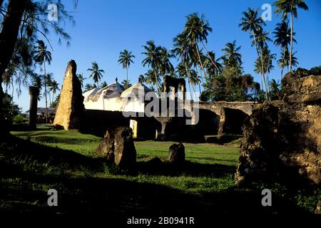 TANZANIA, ISOLA DI ZANZIBAR, ROVINE DEL PALAZZO MARUHUBI Foto Stock