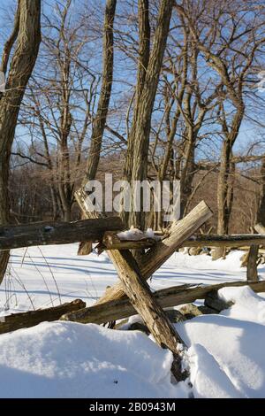 Recinzione in legno vicino alla taverna Hartwell lungo la Battle Road at Minute Man National Historical Park a Lincoln, Massachusetts, durante i mesi invernali. Foto Stock