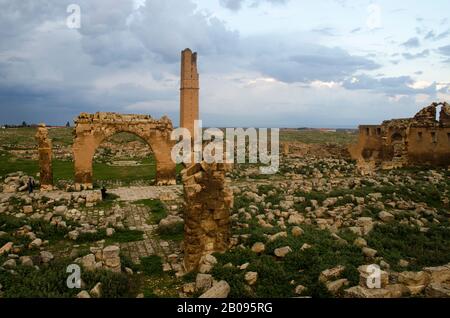 La più antica università del mondo, l'università di Harran Foto Stock